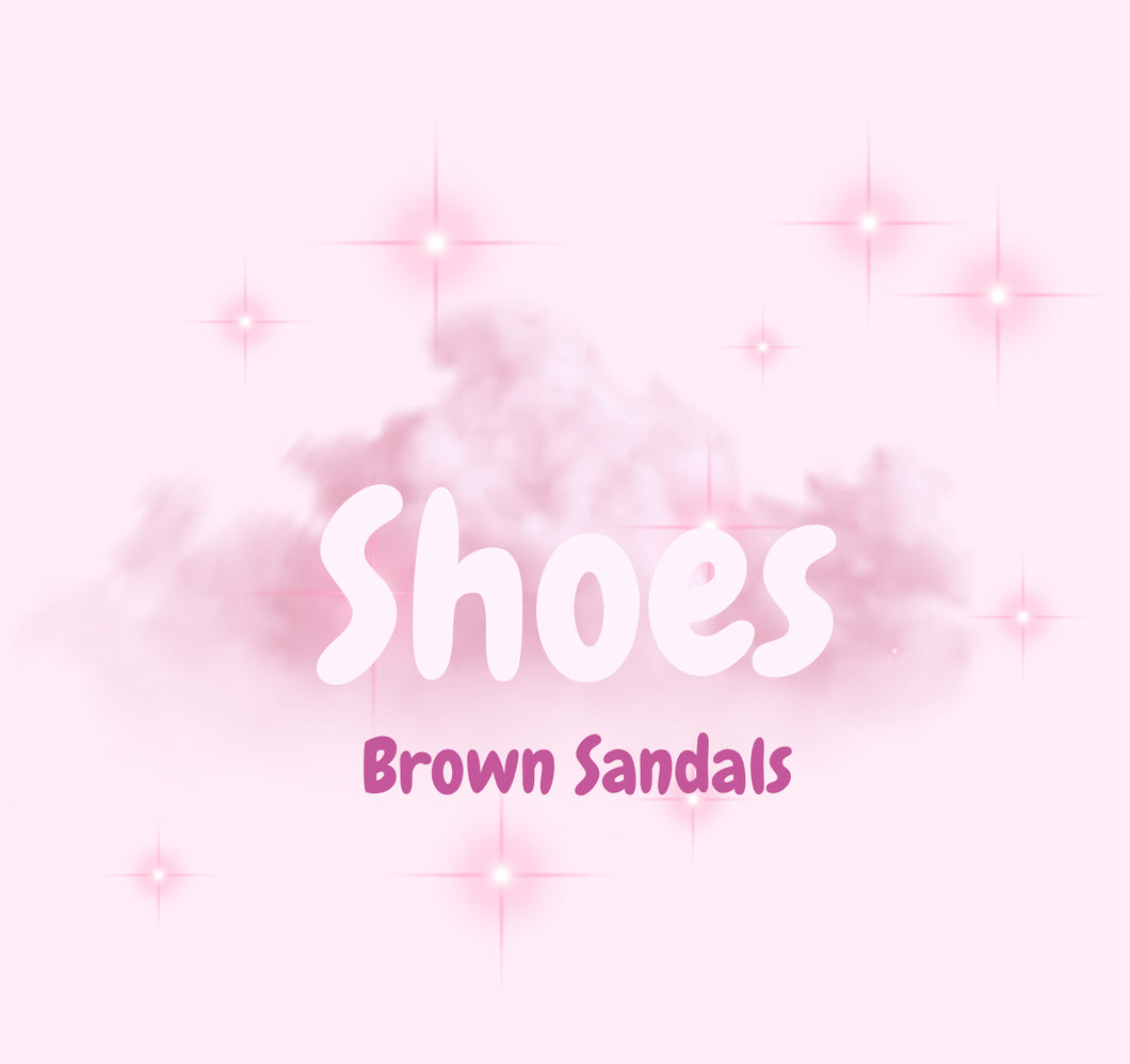 Brown Sandals (READ DESCRIPTION)